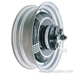 Brushless hub motor