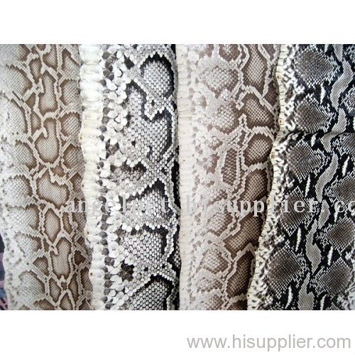python snakeskin