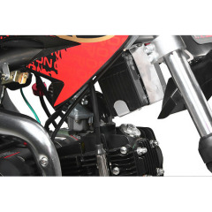 Orion Pit Bikes