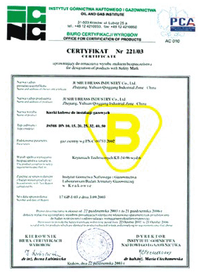 IGNG Certificate