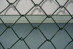 Chain Link Fences