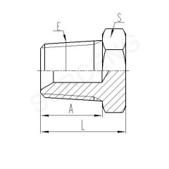 bspt hose adapter