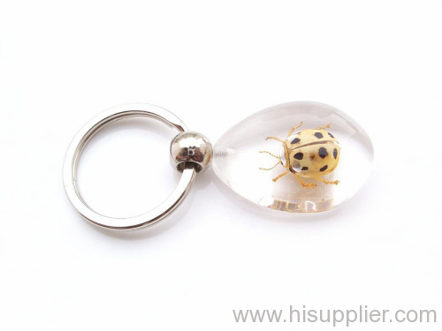 ladybug amber key chain