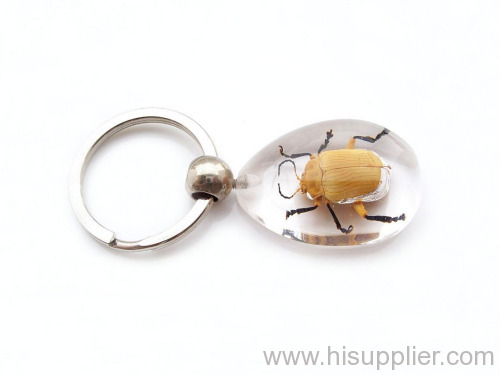 yellow leaf beetle amber key chain