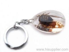 golden cicada amber key chain