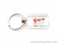 red bean ant amber key chain