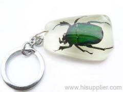 Chinese golden beetle amber key chain