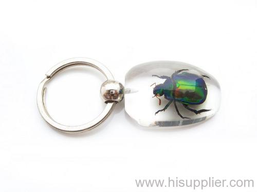 shovel golden beetle amber key chain