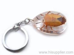 amber key chain