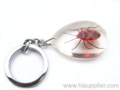 amber key chain