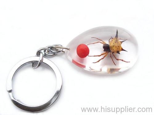 red bean hexangular spider amber key chain