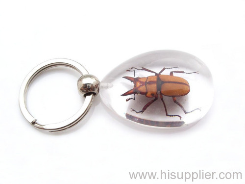 yellow autumn beetle amber key chain