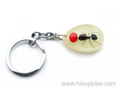 noctilucent red bean ant amber key chain