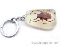 antler golden beetle amber key chain