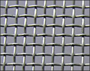 Galvanized square wire mesh