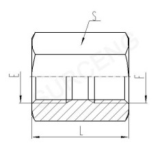 BSP FEMALE ISO 1179