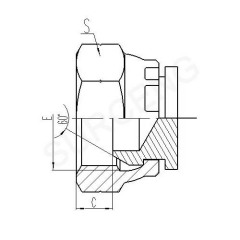 BSP FEMALE 60 CONE PLUG