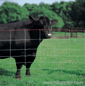 steel mesh fences