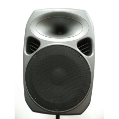 New Speaker Cabinet