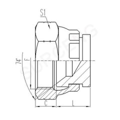 bspt hose adaptor