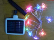 solar string light