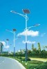 solar street light(two arm)