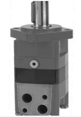 Hydraulic Motor