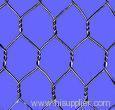 Hexagonal Wire Mesh