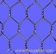 Hexagonal Wire Mesh