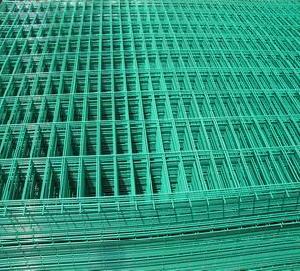 PVC Coated Welded Wire Mesh Panel/Rolls