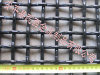 Crimped Wire Mesh