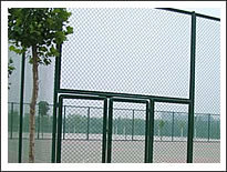 Sports Ground Fence