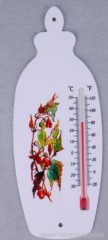 Plastic thermometer