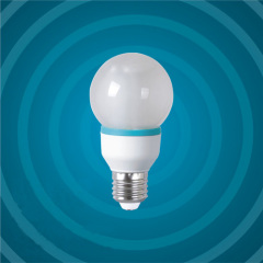 Led Lamp bulb
