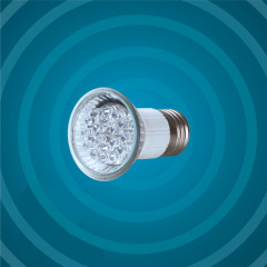 led spotlight