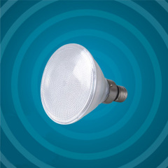 LED Spot Lamp