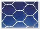 hexagonal wire mesh