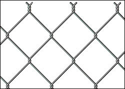 Stainless Steel Chain link Fences