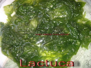 Dried Ulva Lactuca