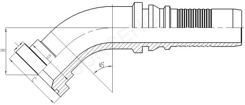 hose fitting from flance