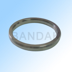 Ring Joint Gasket