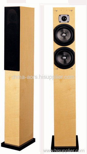 Floor Standing Speaker