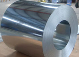 GI Steel Coil