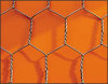 Hexagonal Wire Mesh