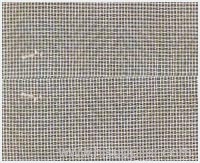 Fe-Cr-Al Wire Mesh