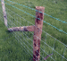 Field mesh fences
