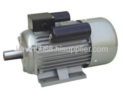 AC electric motor