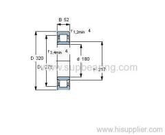 NU 236 ECM bearing