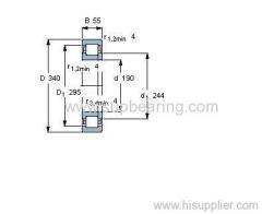 NUP 238 ECM bearing