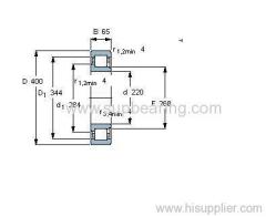 NJ 244 ECM bearing